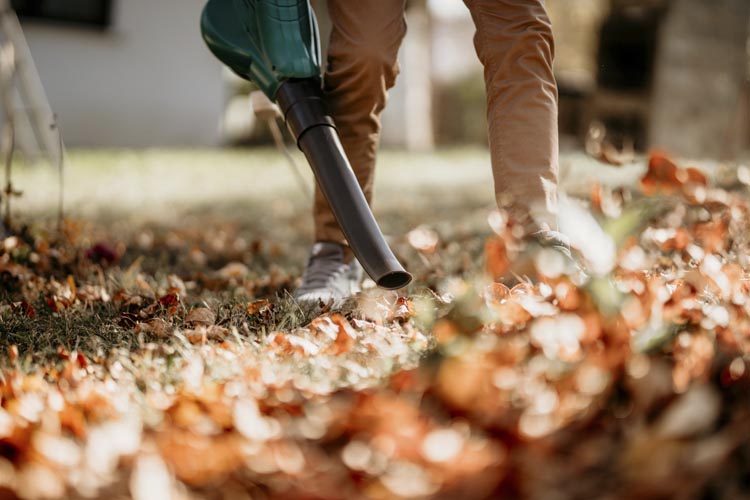 Bladblazer tuinkalender oktober
